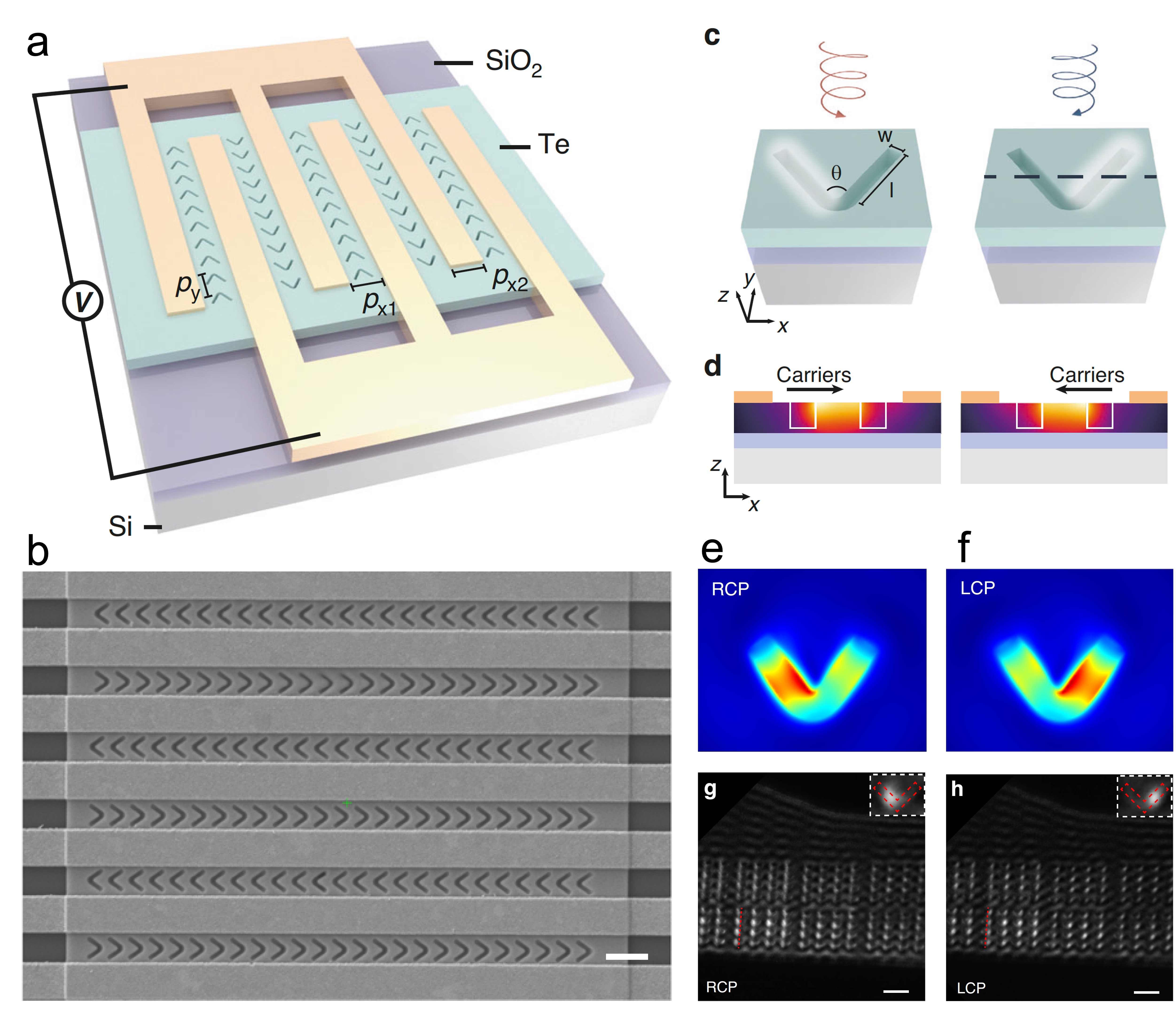 1730684247831414.jpg 1730684247831414.jpg